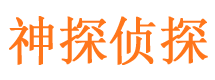 武城市私人侦探